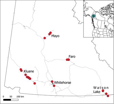 Long-term monitoring in the boreal forest reveals high spatio-temporal variability among primary ecosystem constituents